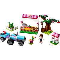 LEGO&reg; Friends 41026 - Olivias Gem&uuml;segarten